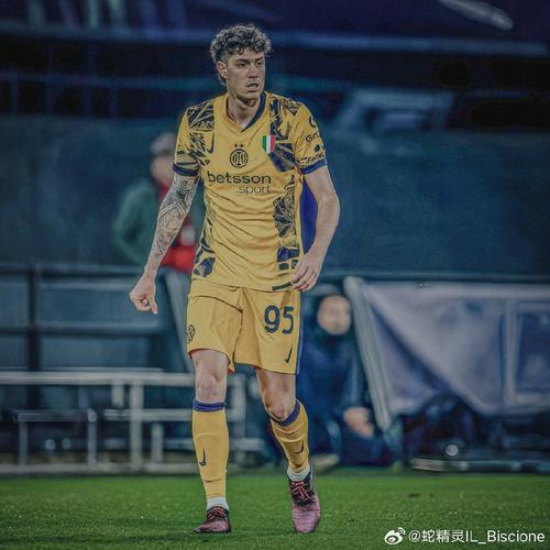 马洛塔谈点球：主裁要么自己决定要么求助VAR，不该受边裁的影响